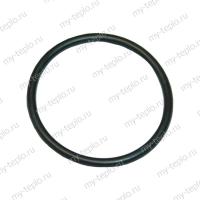 Термекс Резиновое кольцо ТЕНа 6 кВт ER 200-300л (22) (SpT068998)