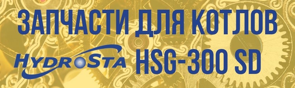 Запчасти Hydrosta HSG-300 SD Купить запчасти котла Hydrosta HSG-300 SD в Архангельске